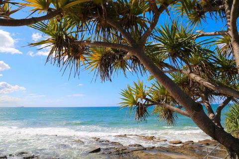 Alex Heads Beachfront Resort 2 Bedroom Apartment - Accommodation Georgetown 3