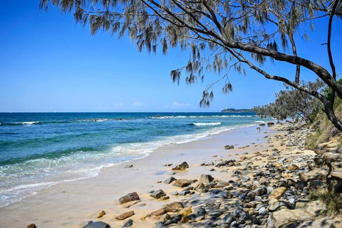 Alex Heads, Prime Location, Stunning Views - Accommodation Georgetown 2