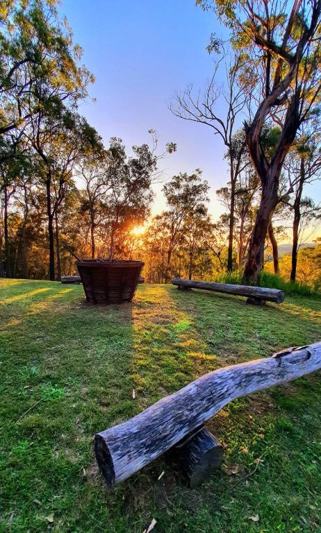Allawah Bush Retreat - Accommodation Georgetown 1