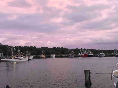 Aloha Iluka! - Accommodation Georgetown 1