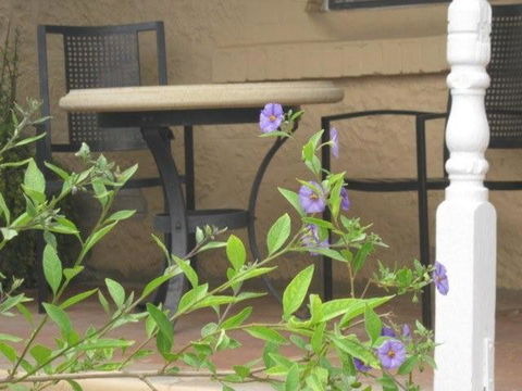 Amalie Cottage Waikerie Unit 1 - Accommodation Georgetown 2