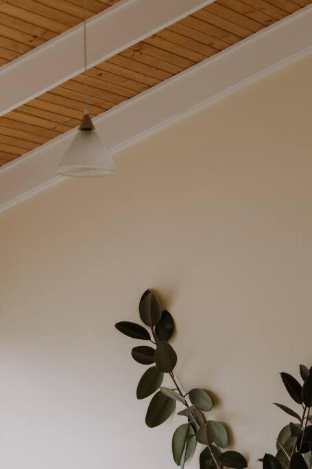 Amarela Haus - Calming Retreat Within Oceans Reach - Accommodation Georgetown 1