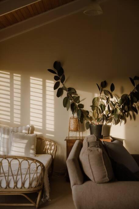 Amarela Haus - Calming Retreat Within Oceans Reach - Accommodation Georgetown 2