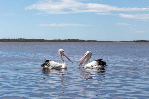 Amazing Ansons Bay Remote Paradise For The Family In The Bay Of Fires Area - Accommodation Georgetown 2