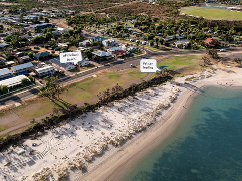 API Pelican Beach Front Apartments Kalbarri - Accommodation Georgetown 1