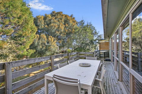 Apollo Bay People N Paws - Accommodation Georgetown 3