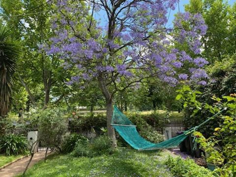 Art House On The Park - Accommodation Georgetown 4