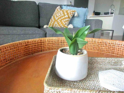 Aspendale Beach Escape -Walk To Mordialloc - Accommodation Georgetown 0