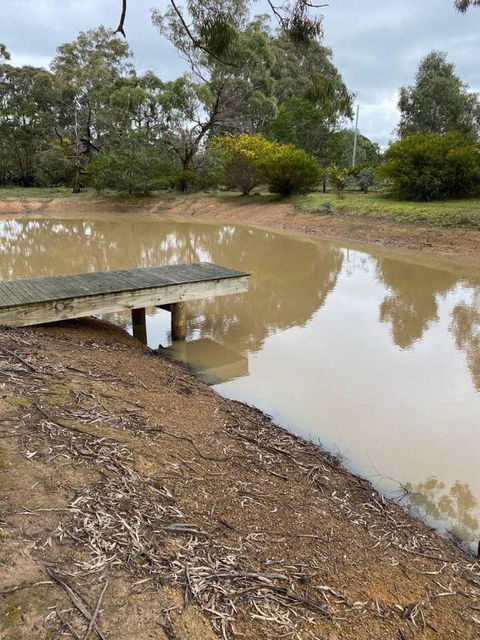 Aurora Cottages - Bellfield - Accommodation Georgetown 3