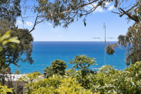 Avirgonia - Accommodation Georgetown 2