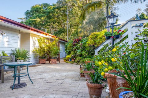 Avocado Sunset Bed & Breakfast - Accommodation Georgetown 3
