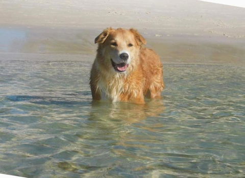 Away Nelson Bay, 29 Wollomi Ave - Spacious Family Home With Water Views, Pet Friendly, Wifi & Aircon - Accommodation Georgetown 2