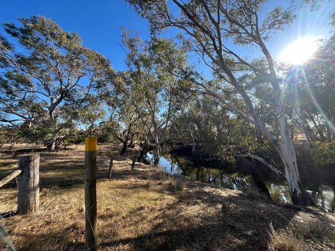 Avondale Heights By Tiny Away - Accommodation Georgetown 0