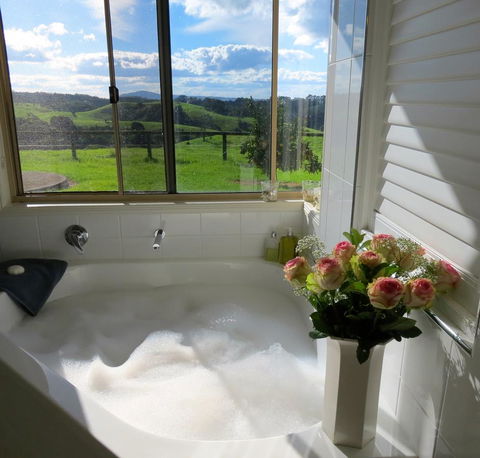 Maleny Springs Farm - Accommodation Georgetown 4