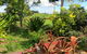 Maleny Springs Farm - thumb 37