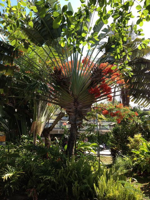 Port Douglas Apartments - Adults Only Oasis - Accommodation Georgetown 39