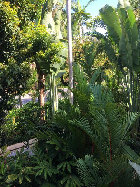 Port Douglas Apartments - Adults Only Oasis - Accommodation Georgetown 1