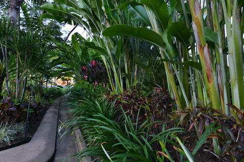 Port Douglas Apartments - Adults Only Oasis - Accommodation Georgetown 9