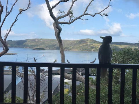 Casuarina Cove 18 - Accommodation Georgetown 9