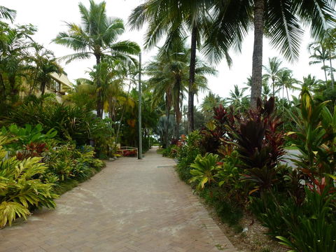 Martinique On Macrossan - Accommodation Georgetown 22