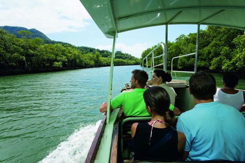 Martinique On Macrossan - Accommodation Georgetown 28