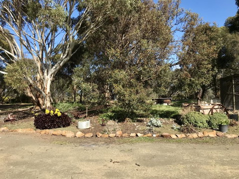Beeâ€™s Place - 3 Bedroom Home On 10 Acres Of Land With Distant Ocean Views - Accommodation Georgetown 15