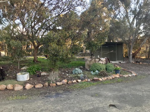 Beeâ€™s Place - 3 Bedroom Home On 10 Acres Of Land With Distant Ocean Views - Accommodation Georgetown 17