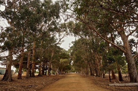 Hanson Bay Cabins - Accommodation Georgetown 21