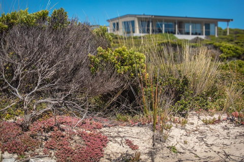 Hanson Bay Cabins - Accommodation Georgetown 3