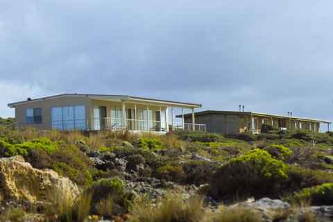 Hanson Bay Cabins - Accommodation Georgetown 15