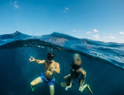 Manta Lodge YHA & Scuba Centre - Accommodation Georgetown 12