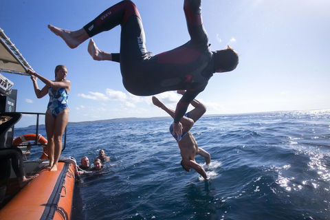 Manta Lodge YHA & Scuba Centre - Accommodation Georgetown 11