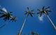 Beachcomber Lodge - thumb 44