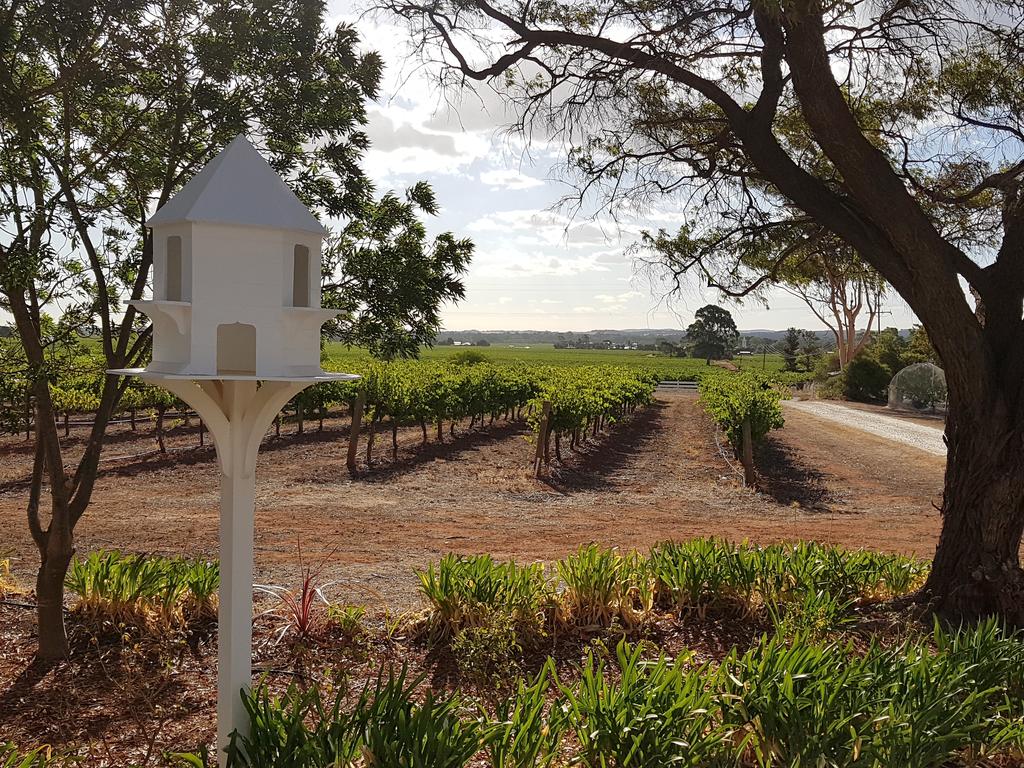 Penrice SA Accommodation Georgetown