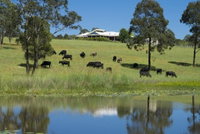 Book Nabiac Accommodation Vacations Accommodation Georgetown Accommodation Georgetown