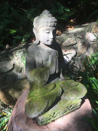 Book Coolum Accommodation Vacations Accommodation Georgetown Accommodation Georgetown