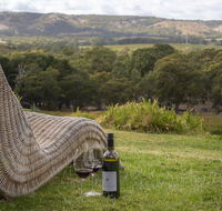 131 Your Vineyard Home in the heart of the Vale - Accommodation Georgetown
