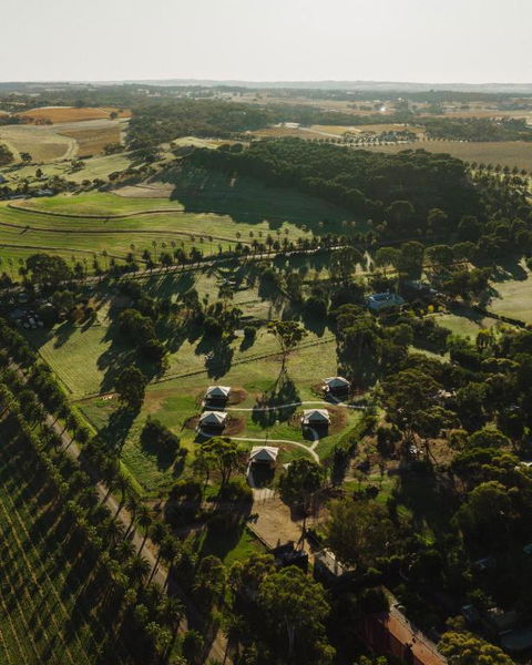 CANVS By CABN Seppeltsfield Barossa - Accommodation Georgetown 1