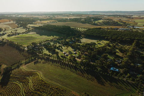 CANVS By CABN Seppeltsfield Barossa - Accommodation Georgetown 2