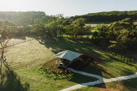 CANVS By CABN Seppeltsfield Barossa - Accommodation Georgetown 0