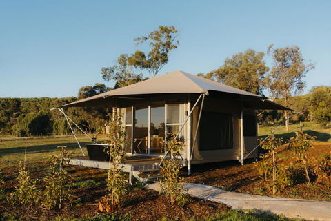 CANVS By CABN Seppeltsfield Barossa - Accommodation Georgetown 3