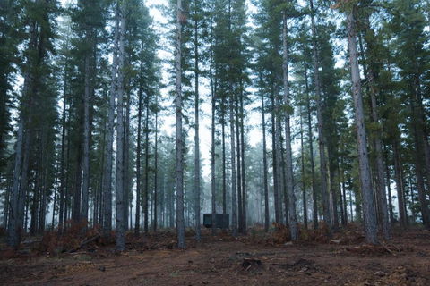 CABN Kuitpo Forest - Accommodation Georgetown 2