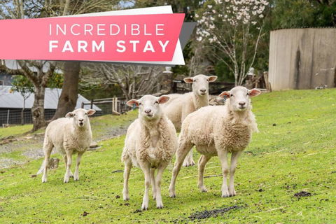 Carawatha On The Range - Unique Farm Stay - Accommodation Georgetown 0