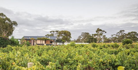 CASALE ESTATE - Accommodation Georgetown 0