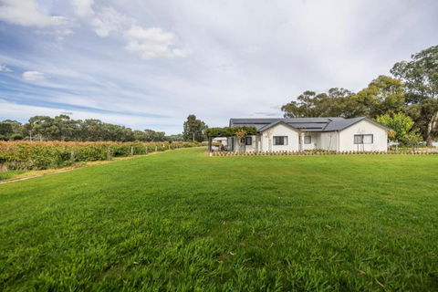 CASALE ESTATE - Accommodation Georgetown 2