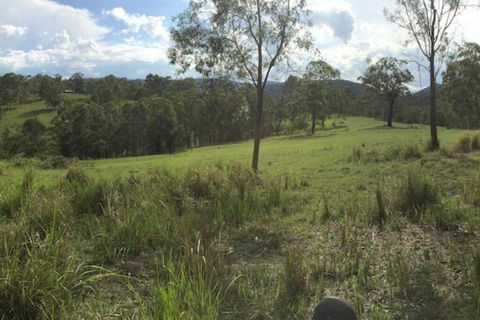 Charity Creek Retreat - Accommodation Georgetown 2