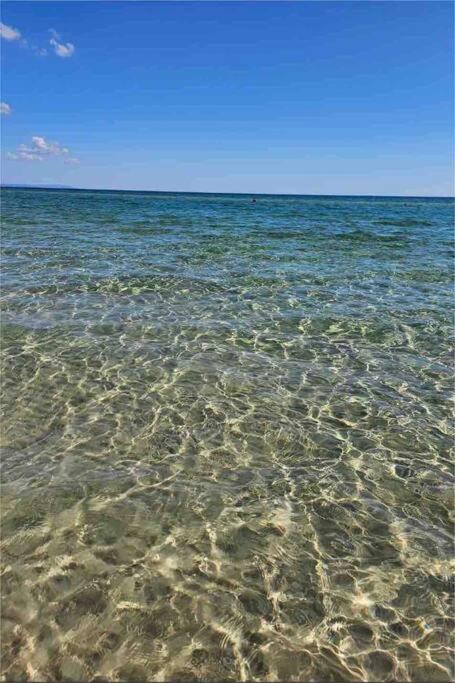 Coastal Escape, Townhouse Steps From The Sea - Accommodation Georgetown 4