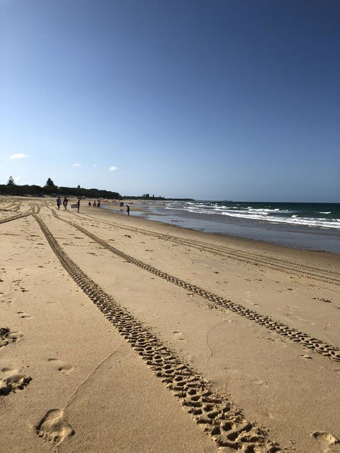 8 ON ELYSEE Alexandra Headland / Mooloolaba Beach - Accommodation Georgetown 2