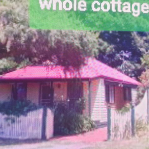 Abelia Cottages Botanical - Accommodation Georgetown 3