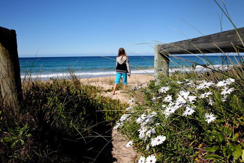 Absolute Beachfront Mollymook - Accommodation Georgetown 3
